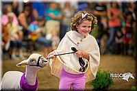 LCFAIR15-7007.jpg