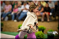 LCFAIR15-7008.jpg