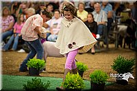 LCFAIR15-7009.jpg