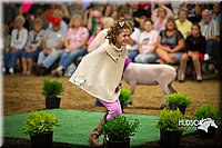 LCFAIR15-7011.jpg