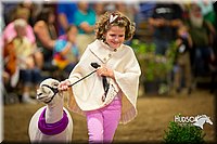 LCFAIR15-7012.jpg