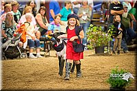 LCFAIR15-7013.jpg