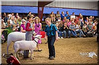 LCFAIR15-7029.jpg