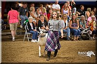 LCFAIR15-7054.jpg