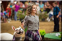 LCFAIR15-7066.jpg
