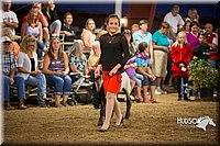 LCFAIR15-7067.jpg