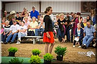 LCFAIR15-7073.jpg