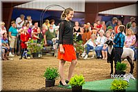 LCFAIR15-7075.jpg