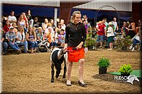 LCFAIR15-7076.jpg