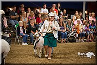 LCFAIR15-7078.jpg