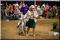 LCFAIR15-7080.jpg