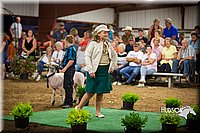 LCFAIR15-7083.jpg