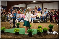 LCFAIR15-7084.jpg