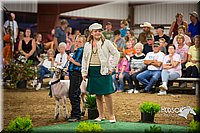 LCFAIR15-7085.jpg