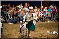 LCFAIR15-7088.jpg