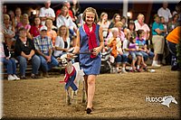 LCFAIR15-7092.jpg