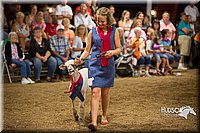 LCFAIR15-7093.jpg
