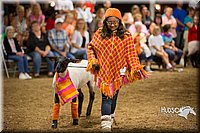 LCFAIR15-7115.jpg