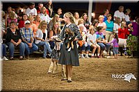 LCFAIR15-7116.jpg