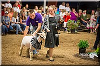 LCFAIR15-7117.jpg