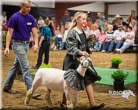 LCFAIR15-7119.jpg