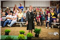 LCFAIR15-7122.jpg