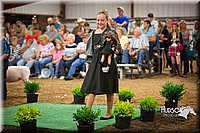 LCFAIR15-7123.jpg