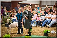 LCFAIR15-7126.jpg