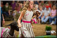 LCFAIR15-7132.jpg