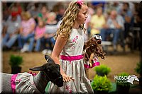 LCFAIR15-7133.jpg