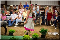 LCFAIR15-7136.jpg