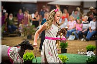LCFAIR15-7144.jpg
