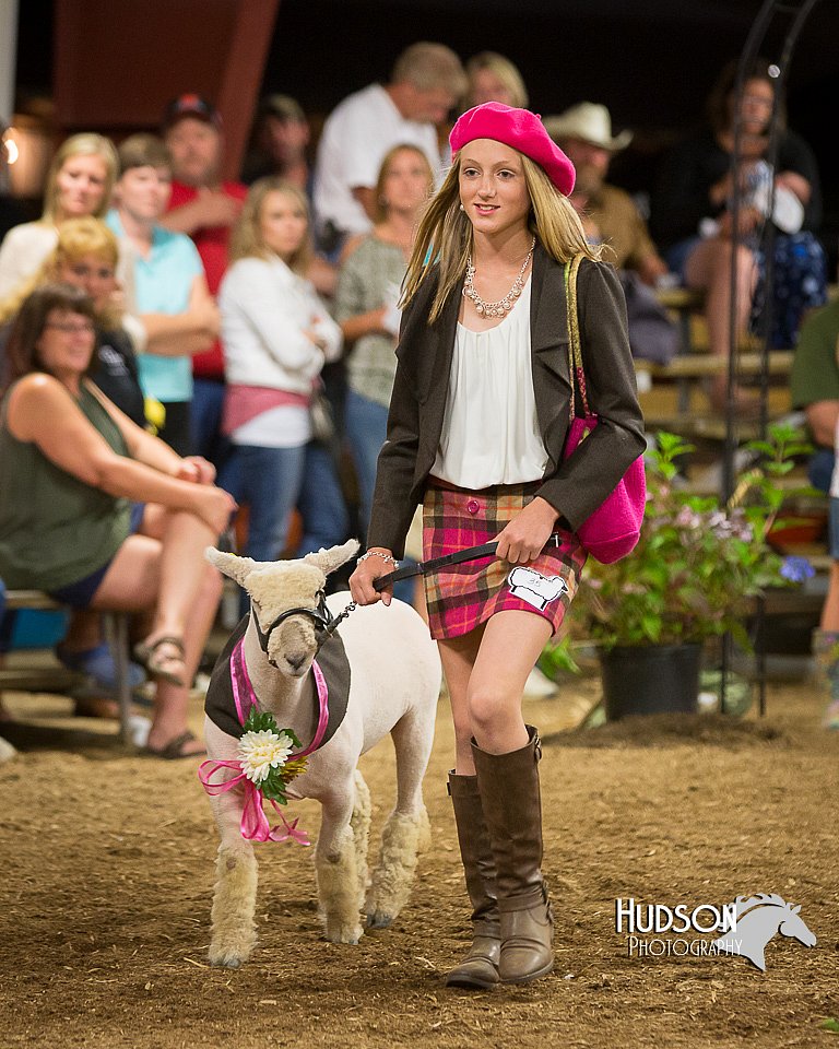 LCFAIR15-7233.jpg
