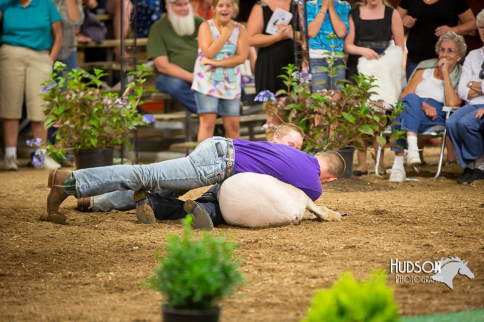 LCFAIR15-7241.jpg