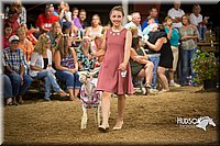 LCFAIR15-7160.jpg