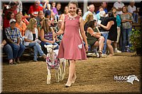 LCFAIR15-7161.jpg