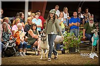 LCFAIR15-7170.jpg