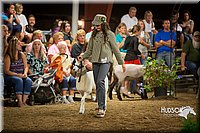 LCFAIR15-7171.jpg