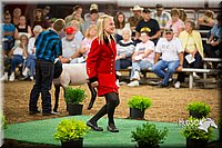 LCFAIR15-7209.jpg