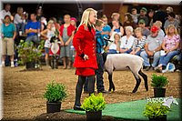 LCFAIR15-7212.jpg