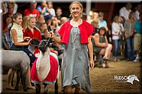 LCFAIR15-7221.jpg