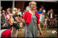 LCFAIR15-7223.jpg