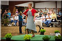 LCFAIR15-7224.jpg