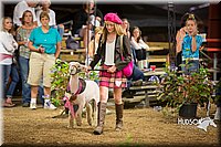 LCFAIR15-7231.jpg