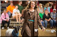 LCFAIR15-7262.jpg