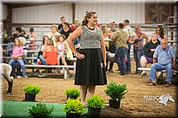 LCFAIR15-7275.jpg