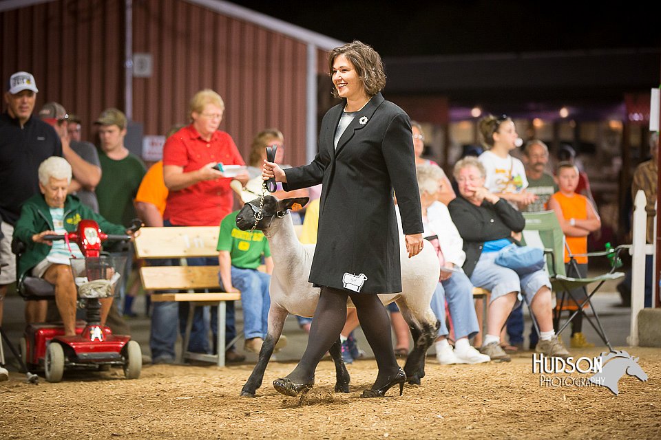 LCFAIR15-7343.jpg