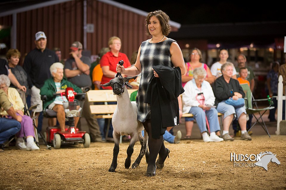LCFAIR15-7353.jpg