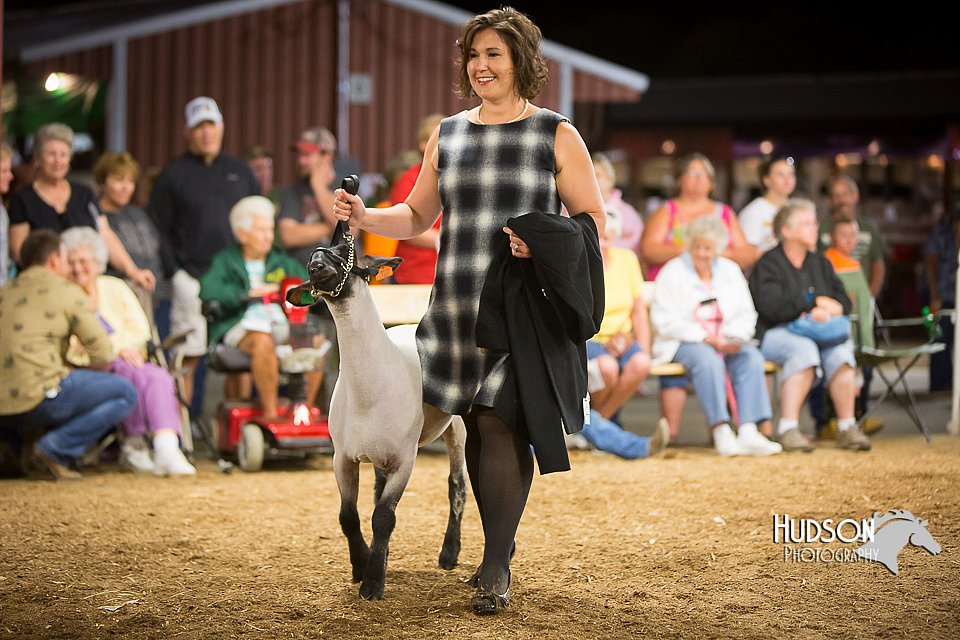 LCFAIR15-7354.jpg