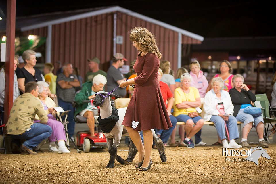 LCFAIR15-7357.jpg